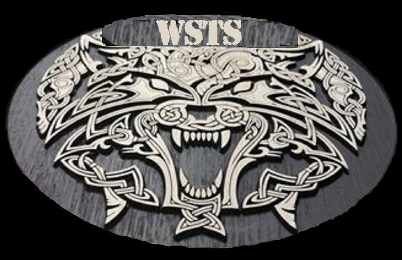                            WSTS Pty Ltd